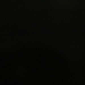 Meet your Posher, Ligia